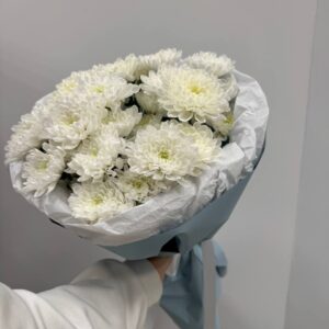 Пышный букет из пяти веток белой кустовой хризантемы в упаковке