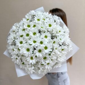 Пышный букет из свежей белой кустовой ромашковой хризантемы, Гродно