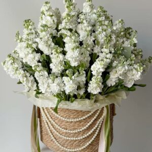 композиция из маттиолы белой в корзине Кайф Гродно
