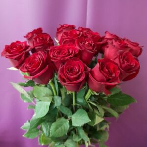 Букет из 15 красных роз 60 см с крупными бутонами в упаковке с доставкой по Гродно