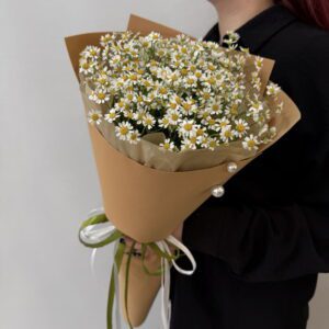 Букет из 7 веток кустовой ромашки танацетум с писташем в дизайнерской упаковке с доставкой по Гродно