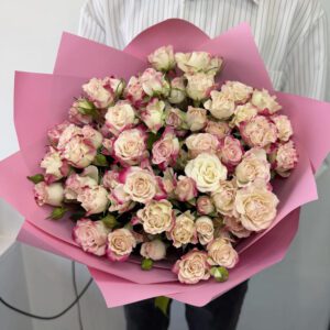 Букет из 9 веток кремово-розовой кустовой розы с малиновой каймой в упаковке с доставкой по Гродно